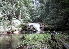 Waterfalls at Haka Creek 2  Waterfall at Haka Creek
